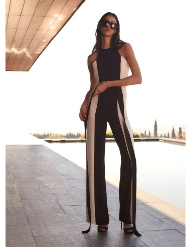 MONO CONCHITA BICOLOR